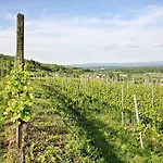 Winzerstube Hotel Ihringen