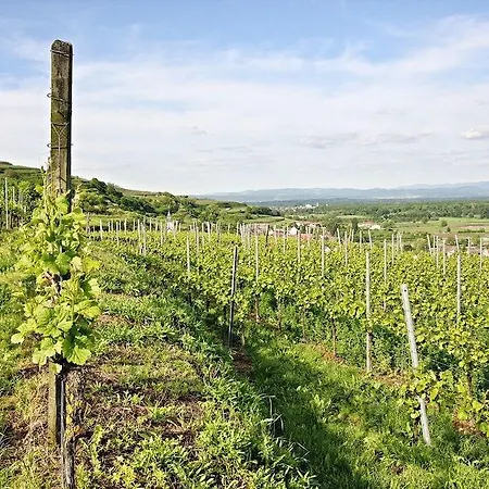 Hotel Winzerstube