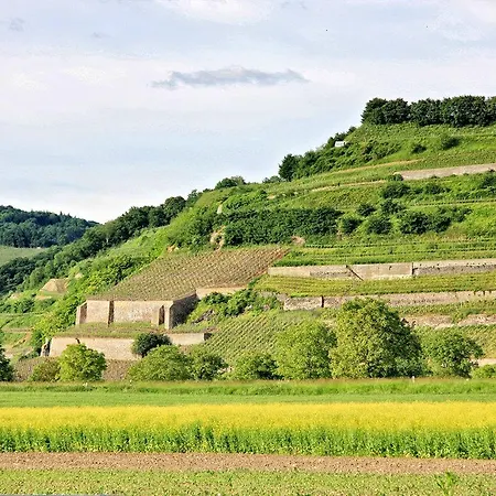 Hotel Winzerstube Ihringen