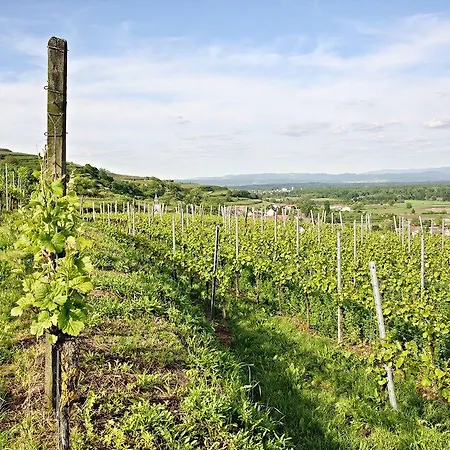 Hotel Winzerstube Hotel Ihringen