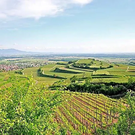 Winzerstube 4* Ihringen
