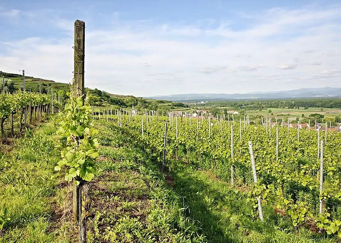 Winzerstube Hotel Ihringen