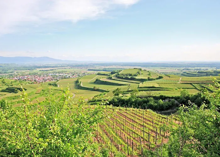 Winzerstube Ihringen